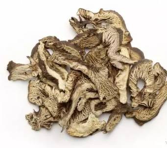 Dried cimicifugae foetidae root (sheng ma), 